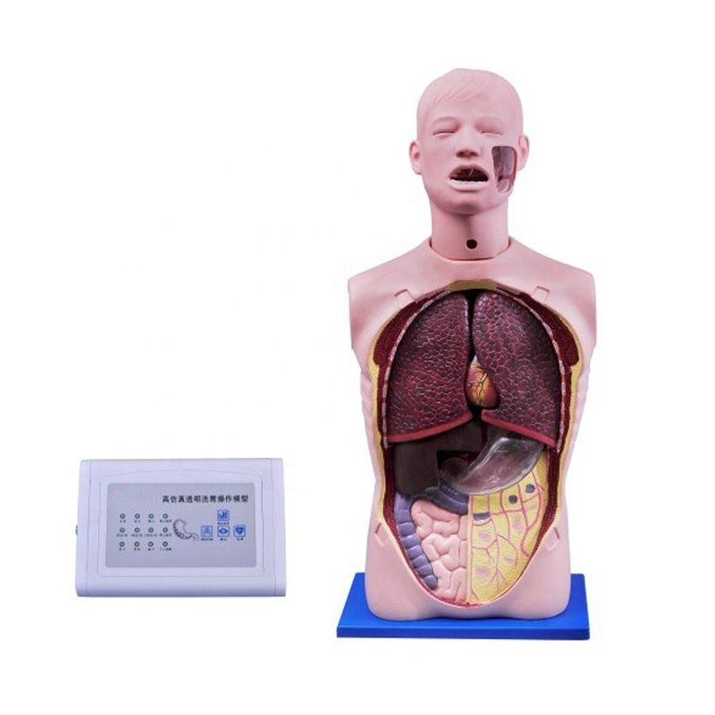 Manivelle infirmière multifonctionnelle de taille humaine pour l'entraînement à l'aspiration et à la trachéotomie
