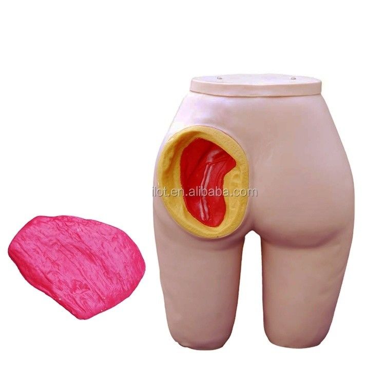 Modèle de formation à l'injection intramusculaire du gluteus de taille humaine pour les patients