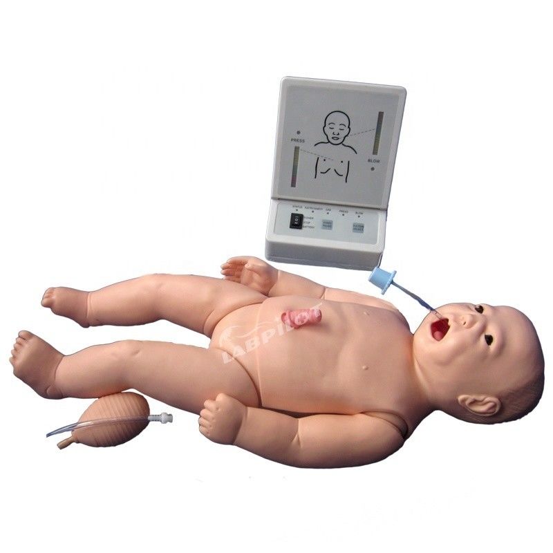 Une poupée pour nourrissons vivants pour la pratique de soins infirmiers néonataux sur un mannequin de taille humaine